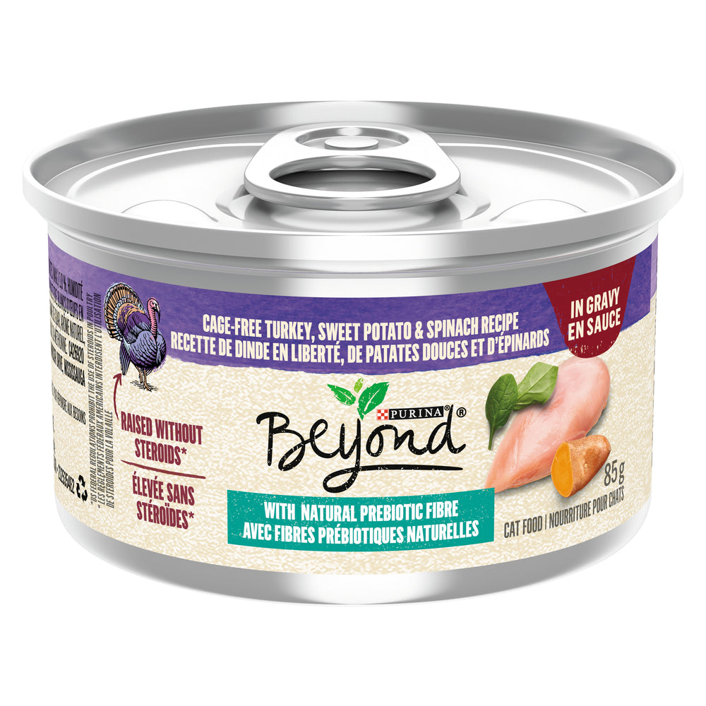 PURINA BEYOND CAT FOOD TURKEY SAUCE, 12 X 85 G