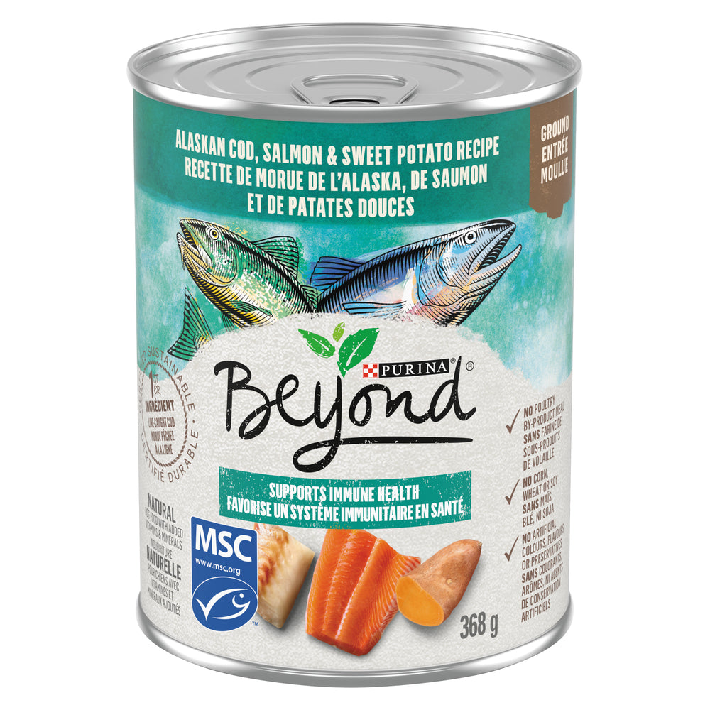 PURINA BEYOND DOG FOOD FISH, 12 X 368 G