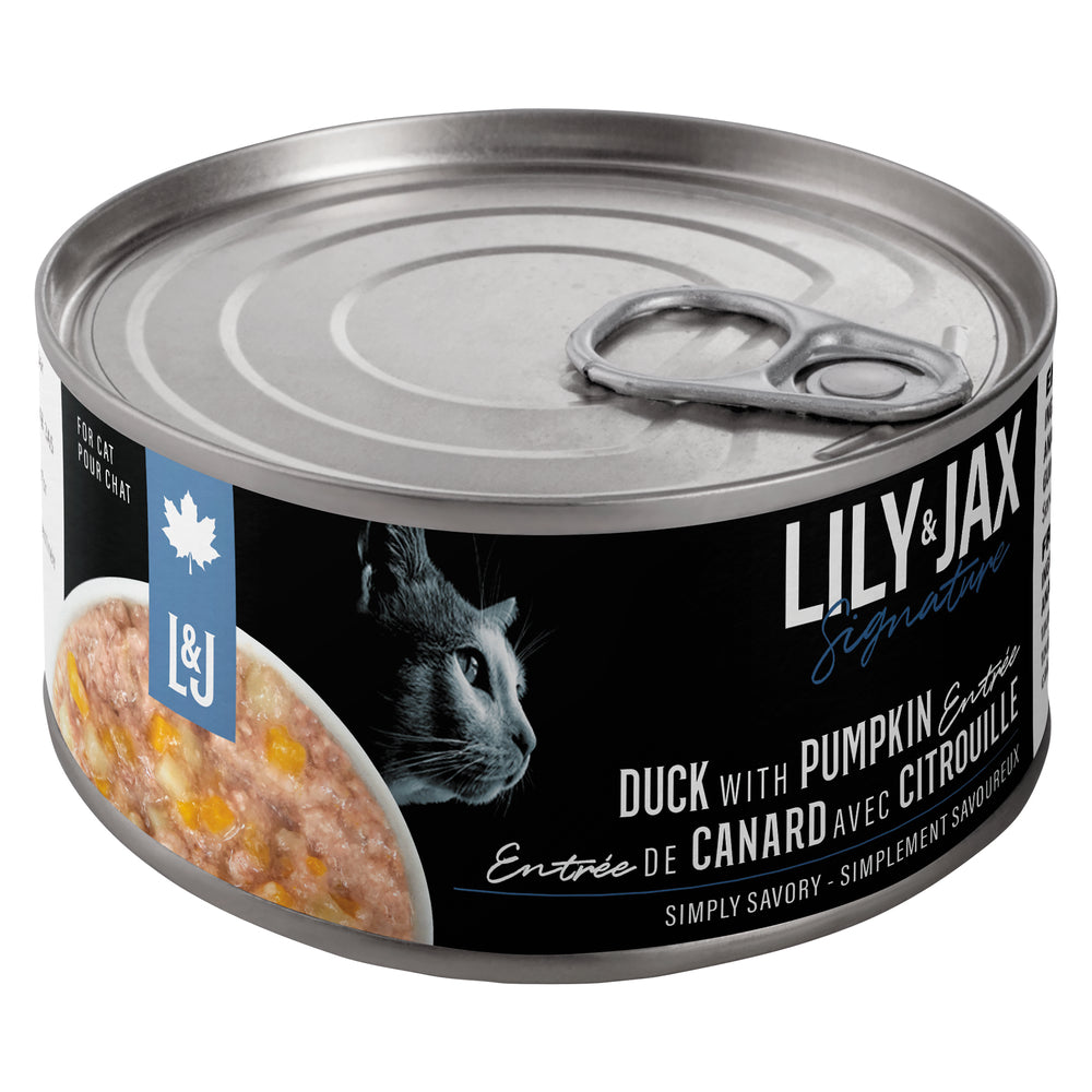 LILY & JAX CAT FOOD CANARY & PUMPKIN, 24 X 85 G