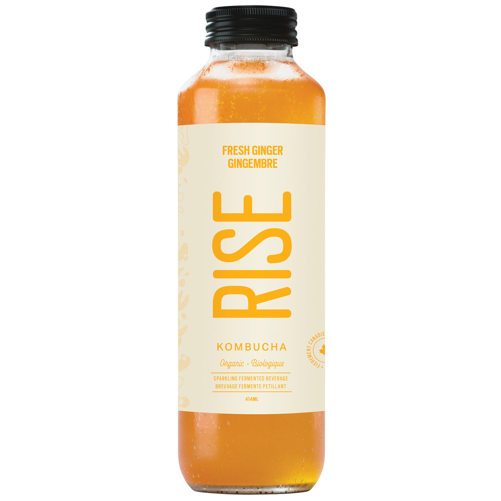RISE KOMBUCHA GINGER ORGANIC, 12 X 414 ML