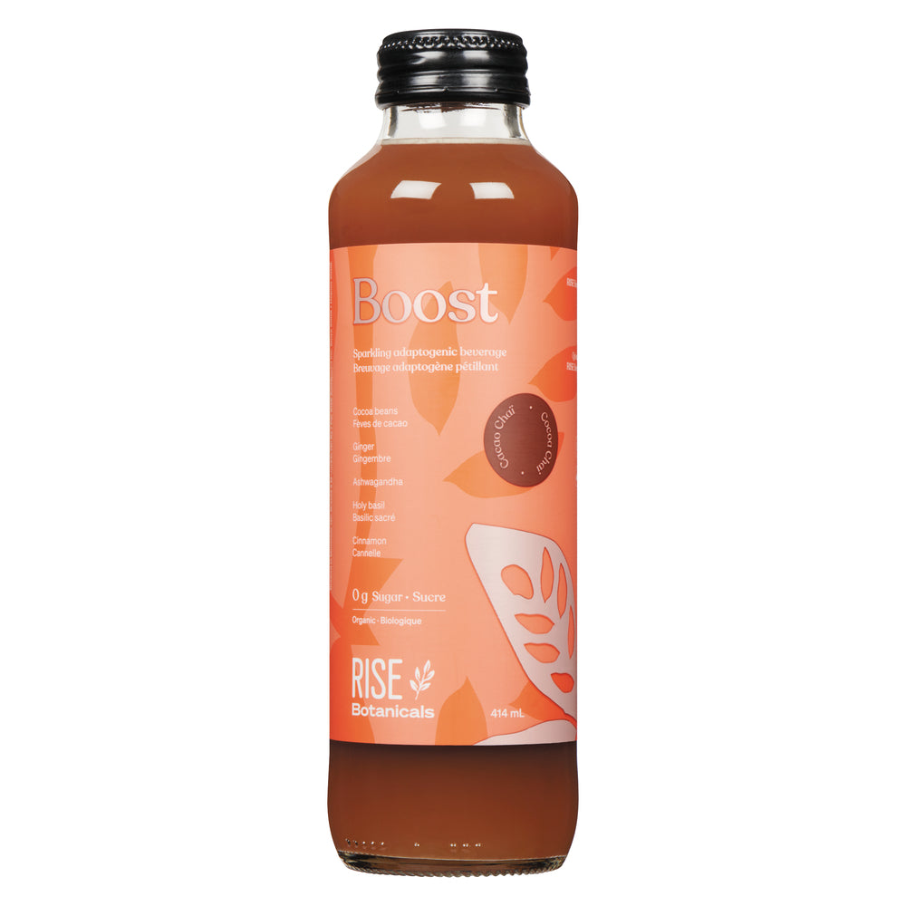 RISE KOMBUCHA BOTANICALS BOOST, 12 X 414 ML