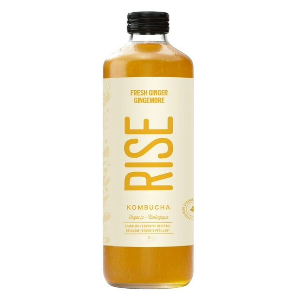 RISE KOMBUCHA, FRESH GINGER CLASSIC, 6 x 1L