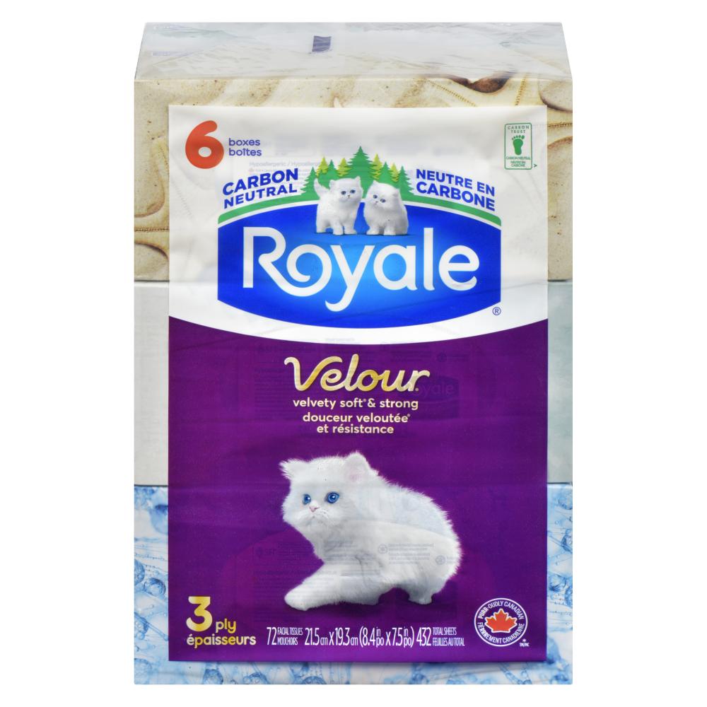 ROYALE FACIAL TISSUE 3PLY 72S, 8 X 6 UN