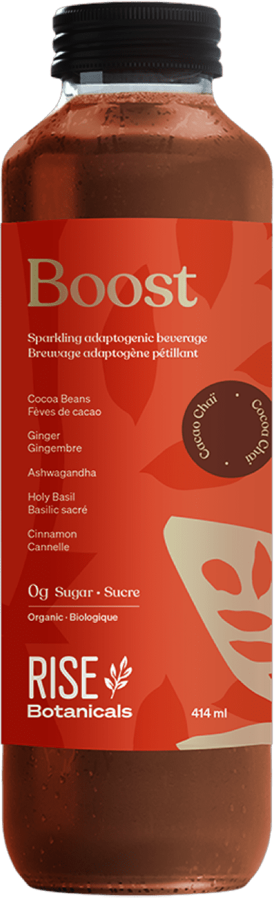 RISE KOMBUCHA, BOOST, 12 x 414ML