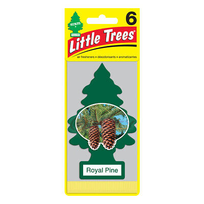 LITTLE TREES ROYAL PINE AUTOMOBILE FIR, 24 X 1 UN