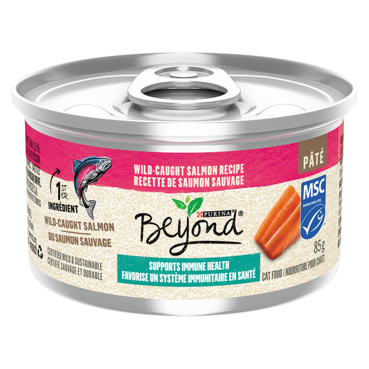 PURINA BEYOND CAT FOOD SALMON, 12 X 85 G