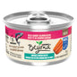 PURINA BEYOND CAT FOOD SALMON, 12 X 85 G