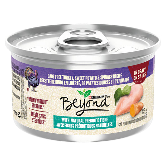 PURINA BEYOND CAT FOOD TURKEY SAUCE, 12 X 85 G
