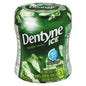 DENTYNE SPEARMINT GUM BOTTLES, 6 X 1 UN