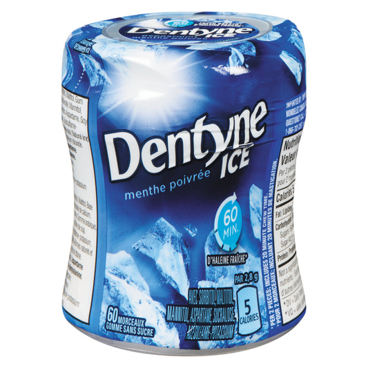 DENTYNE ICE GUM MINT BOTTLE, 6 X 1 UN