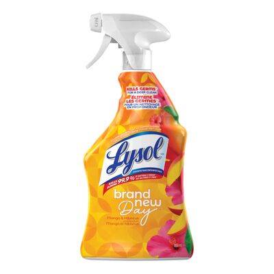 LYSOL ALL PURPOSE CLEANER MANGO HIBISCUS, 12 X 650 ML