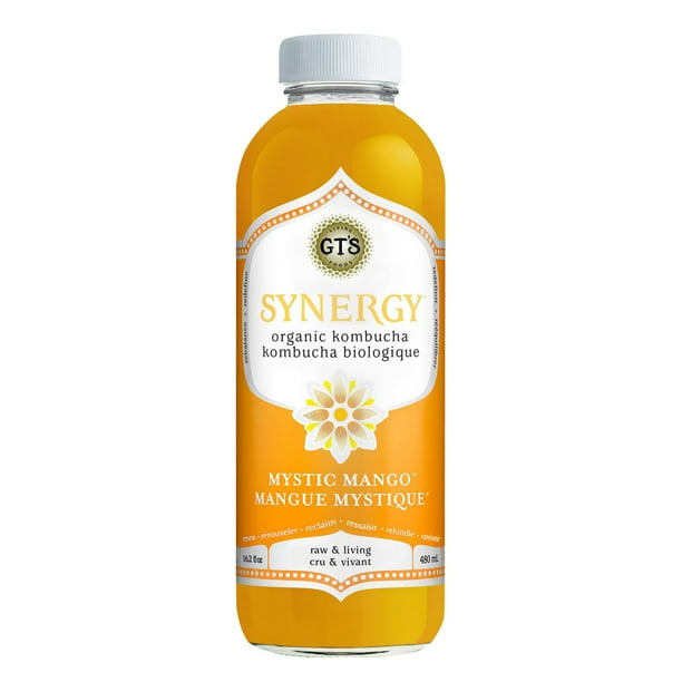 G.T.'S, SYNERGY MYSTIC MANGO WM, 6 x 480ML