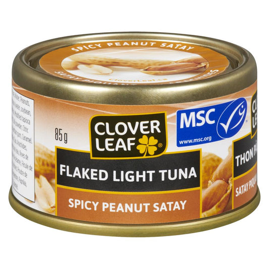 CLOVERLEAF SATAY SPICY PEANUT WHITE TUNA, 24 X 85 G