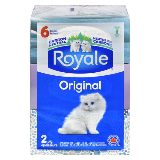 ROYALE FACIAL TISSUE 100 SHEETS, 8 X 6 UN