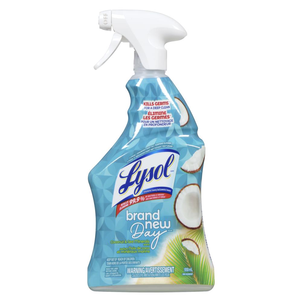 LYSOL ALL PURPOSE CLEANER TRIGGER, 12 X 650 ML