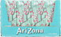 ARIZONA GREEN TEA GINSENG HONEY, 4 X 8 X 200 ML