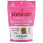 RAWCOLOGY, PROBIOTIC APPLE CINNAMON, 6 x 90G