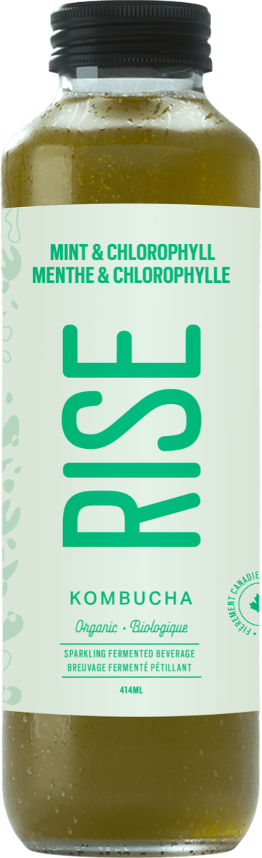 RISE KOMBUCHA, MINT & CHLOROHYLL CLASSIC, 12 x 414ML