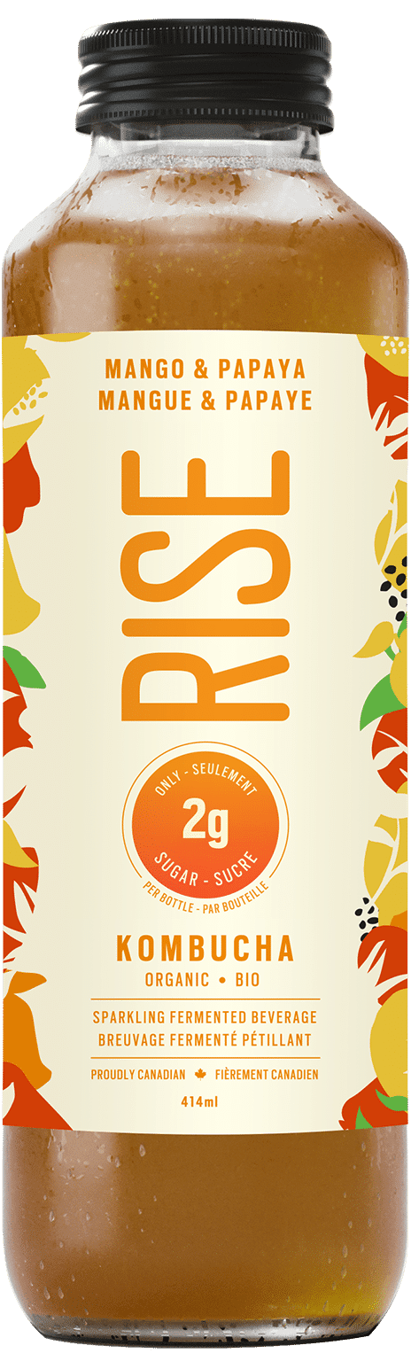 RISE KOMBUCHA, MANGO & PAPAYA 1G, 12 x 414ML