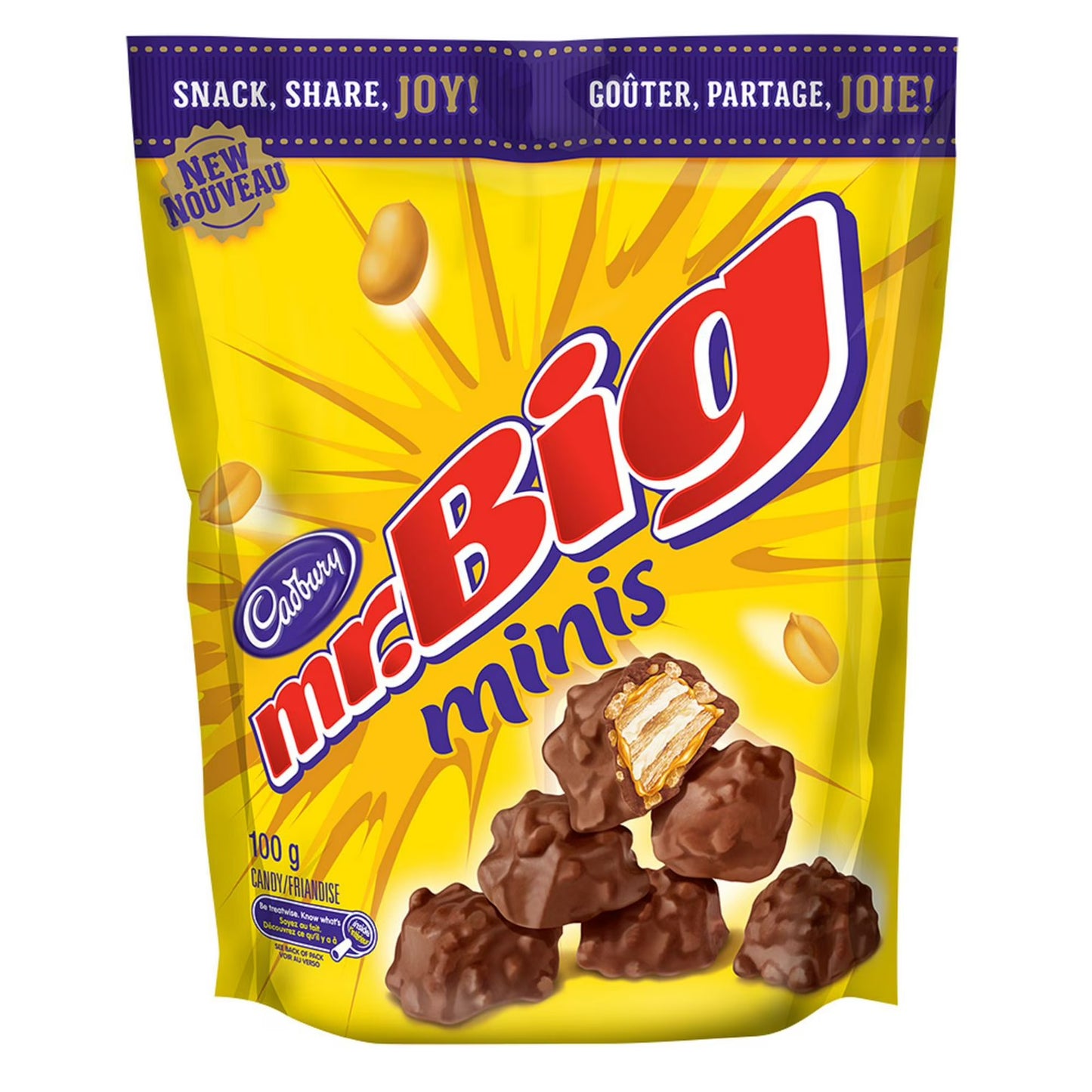 CADBURY MINIS CHOCOLATE MR BIG, 10 X 100 G